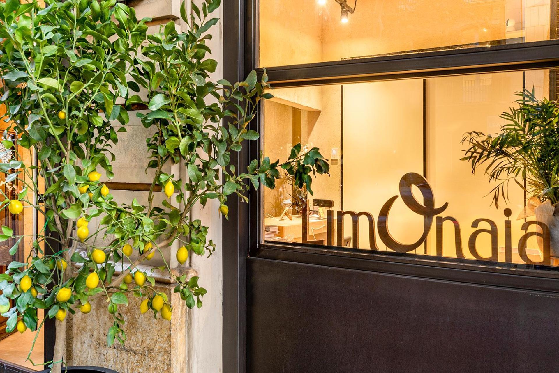 Limonaia Hotel Barcelona Kültér fotó